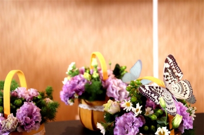 【美丽大理】雅而不俗，这是传统插花的魅力！