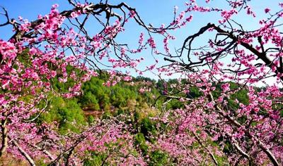 大理4村入选美丽休闲乡村，看看都有哪些？