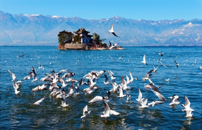 【福利】大理州文化和旅游局推出消费券邀你嗨玩大理！领券看这里！