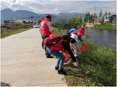 大理州群众艺术馆开展2021年文化志愿者服务活动