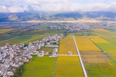 喜迎COP15 相约洱海论坛 | 带你阅尽大理秀美山川