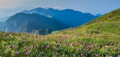 喜迎COP15 相约洱海论坛 | 带你阅尽大理秀美山川