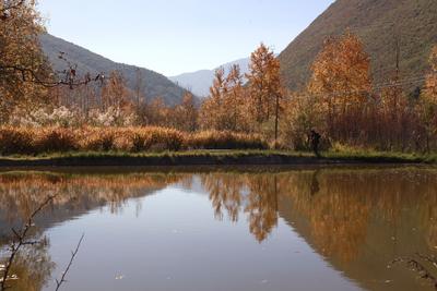 霜降 | 跟着时节游大理 赏晚秋韵律
