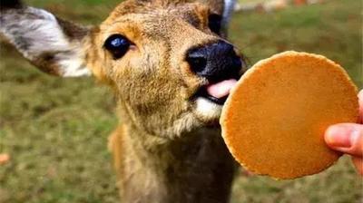 【创意大理】多重优惠！双十一看过来！