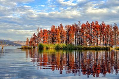 立冬丨跟着时节游大理 赴一场冬日盛会