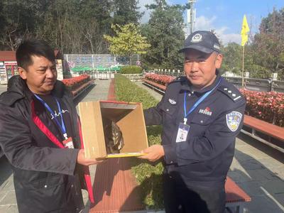 大理旅游集團(tuán)索道運(yùn)營管理中心洗馬潭索道積極救助野生動(dòng)物獲市森林公安局點(diǎn)贊
