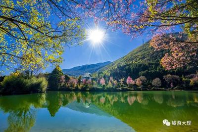 【年末钜惠】“云南人闲大理”，更多景区优惠等你来赏风花雪月！！