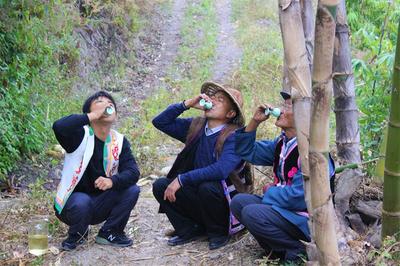 大理州永平县开展龙竹酒制作传承培训活动