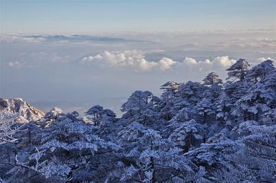 【大雪】跟着时节游大理 共度冬日好时光