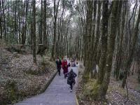 图集 | 新春伊始 登巍宝山赏景