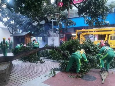 绿玉公园开始“大变样”！