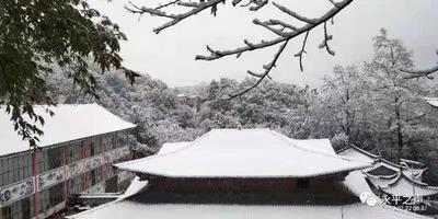 又來一場春之雪，寶臺風光別樣美！