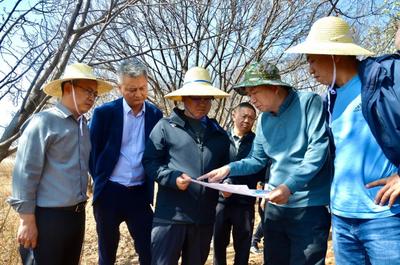 以苍洱生态之美推动大理发展之变！陈真永率队调研大理市挖色镇凤尾箐