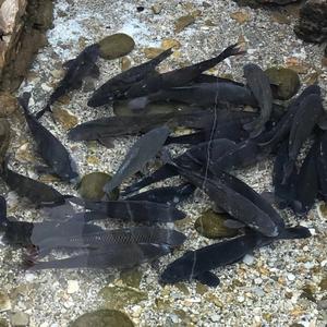 關(guān)于鶴慶，水光瀲滟中的溫柔