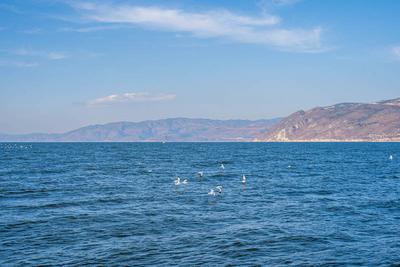 跟着影视游大理丨心花路放，一路向西，去大理