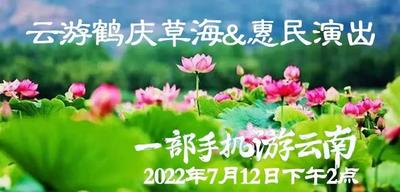 云游鹤庆草海，乐享惠民演出 | 7月12日，我在直播间等你！