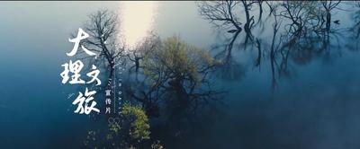 视频 | 大理文旅宣传片 风主题