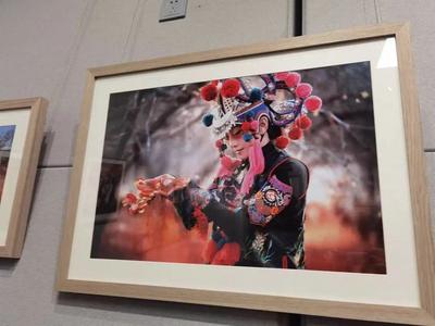 【艺术大理】半个世纪的回眸——民族舞·中国心 杨丽萍从艺五十年图片影像大理展开展 