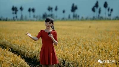 【喜迎二十大】原创诗歌《爱我中华，爱我大理》正式发布！
