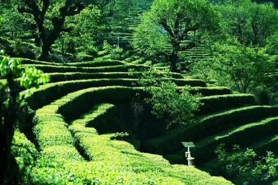 千古博南 味道永平！2022云南·大理永平第七届博南文化节即将开幕