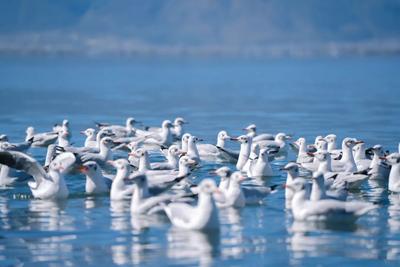 【游大理 正当时】快来发呆晒太阳，感受一波大理暖冬！