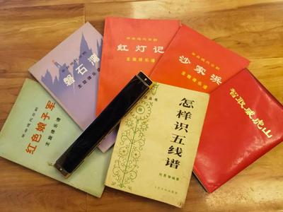 【艺术大理】白剧名家彭强：一管口琴引发的戏剧人生