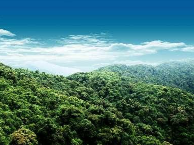 关注 | 无量山国家级自然保护区：野生动植物的天堂 永恒的绿色家园
