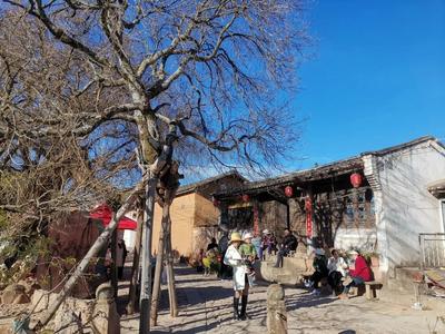 邀你到《去有风的地方》取景拍摄地——密祉逛元宵灯会，错过了，要再等一年！