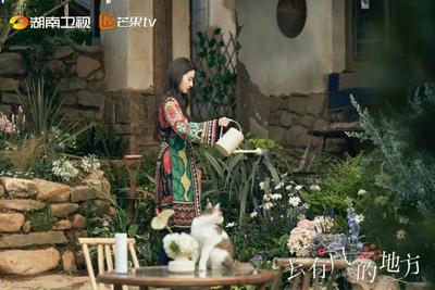 【关注】影视IP与文旅“双向奔赴”《去有风的地方》这样带火大理旅游