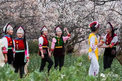 穿越唐诗宋词，走近洱源松鹤的万亩梅花