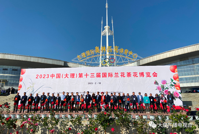 大理兰花茶花博览会今日启幕，金奖兰花长啥样？