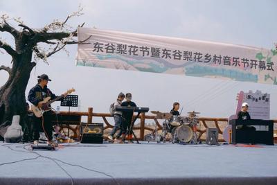 【美丽大理】走，去弥渡东谷赏梨花