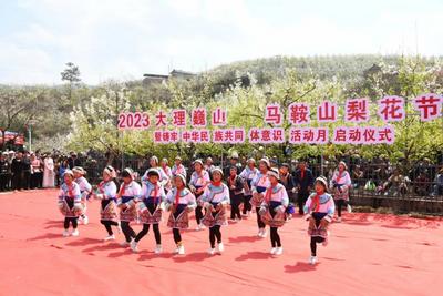 【一月一县市·巍山】去有风的地方，赴一场梨花盛宴！大理巍山•马鞍山梨花节开幕