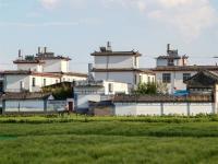 图集丨风吹麦浪 归梦田园
