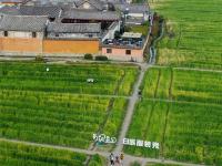 图集丨风吹麦浪 归梦田园