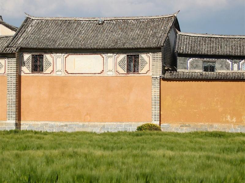 图集丨风吹麦浪 归梦田园