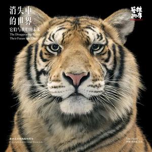 “消失中的世界——它们与我们的未来”关爱濒危动物艺术摄影巡回展在大理州博物馆开展