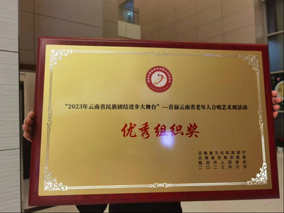 喜讯 | 大理州在首届云南省老年合唱艺术周活动中荣获佳绩