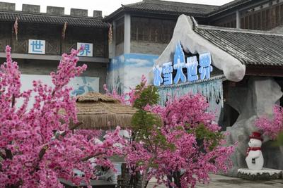 超出片的大理桃花岛新晋网红打卡点，姐妹们快闭眼冲