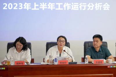 大理州文化和旅游局召开2023年上半年工作运行分析会