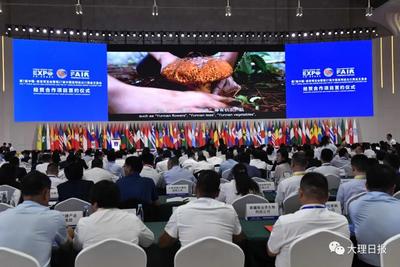 大理州第7届南博会经贸合作项目集中签约项目投资额达369.13亿元  