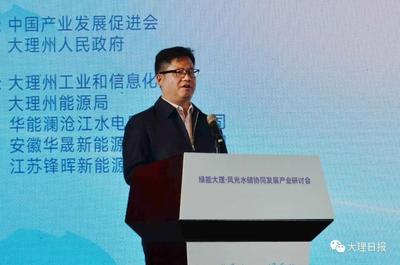 绿能大理·风光水储协同发展产业研讨会在大理举行 陈真永张剑萍朱建斌等出席开幕式