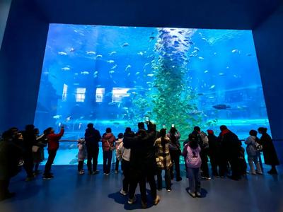 大图动态 | 图书赋能文旅融合：当儿童绘本来到海洋世界......