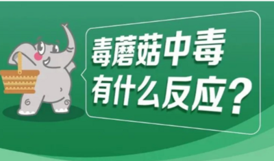 云南野生菌中毒风险地图来了，大理部分县市划入中、低风险区