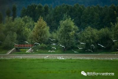 毕业季大礼包 | 暑假大学生来洱源领奖啦！