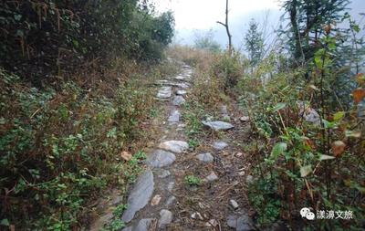 漾濞 · 文物｜全国重点文物保护单位——茶马古道