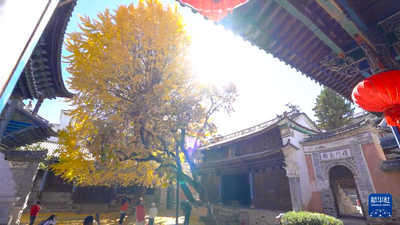 洱海之源：古树映古镇 秋色入画来