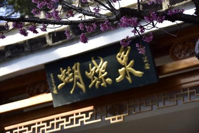 蝴蝶王子驚艷蝶泉 暑期活動(dòng)引爆心動(dòng)熱潮