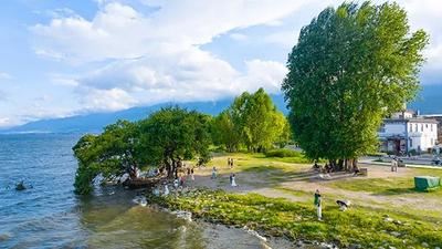 暑期出游正當(dāng)時(shí)！大理這條鄉(xiāng)村游線路獲全國(guó)推介 