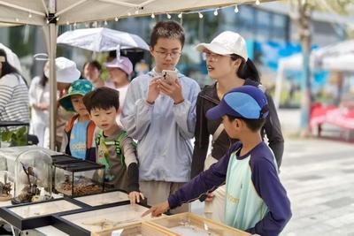 国庆中秋假期大理州共接待游客521.61万人次